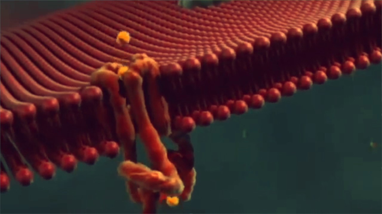 Kalydeco (ivacaftor) for Cystic Fibrosis