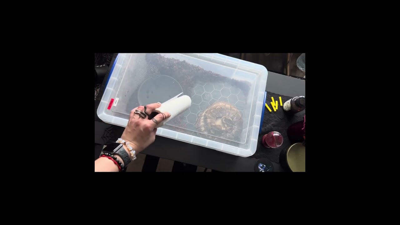 FIRST CLUTCH!!!! 