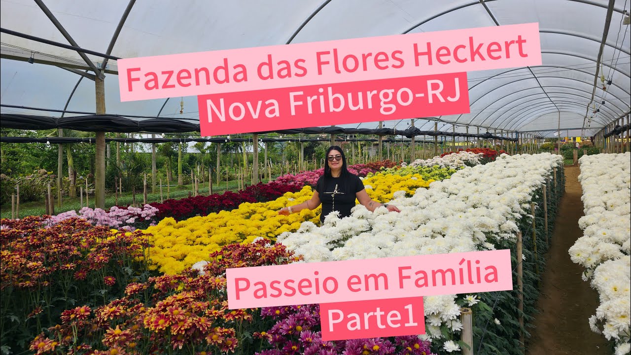 Passeia em Família! Fazenda das Flores Heckert🌷 Nova Friburgo-RJ 💚🌿 #seinscrevanocanal 