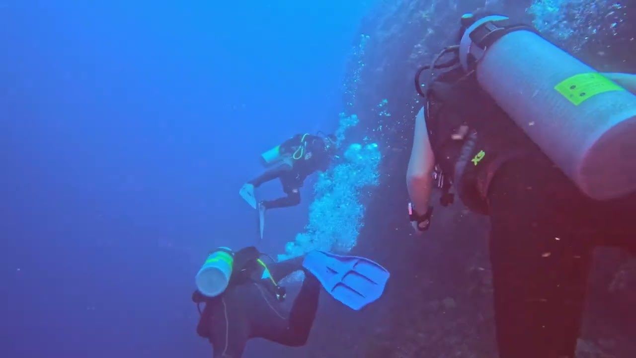 Diving in the Philippines is unreal