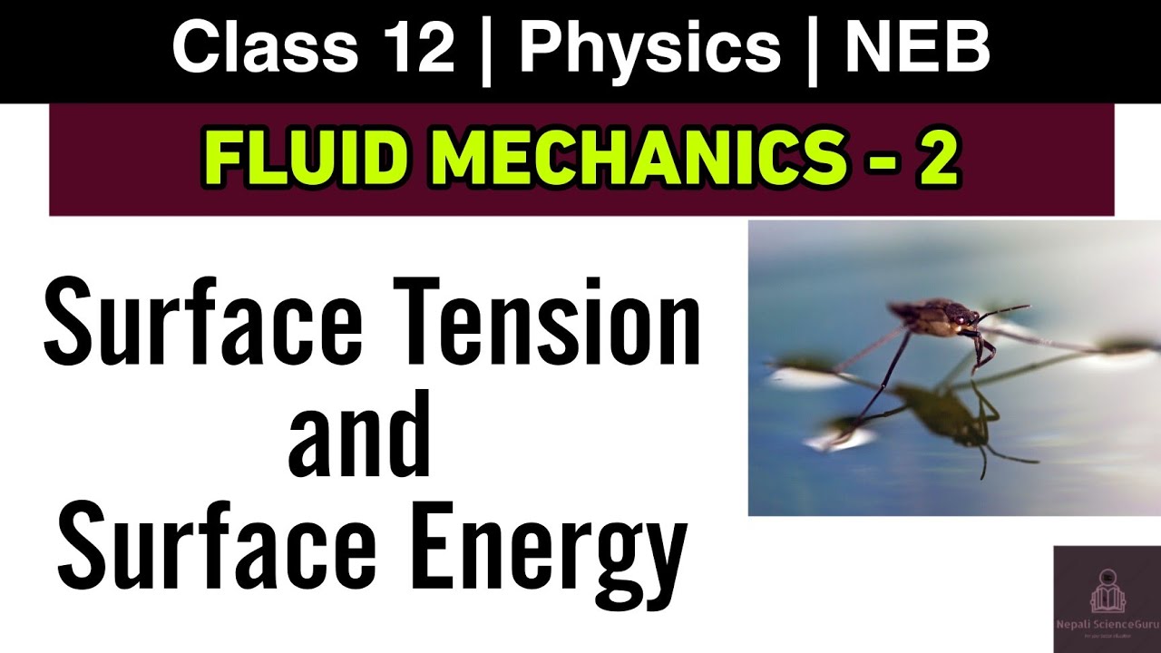 Fluid Mechanics L-2 | NEB Class 12 Physics | Theory of Surface Tension and Surface Energy