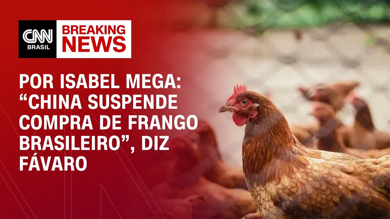 “China suspende compra de frango brasileiro”, diz Fávaro | CNN NOVO DIA