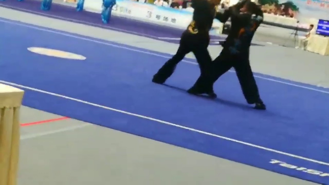 李鎮武館 孫永閣老師 八極対打 Lizhenwushu Master SunYongge's Bajiduida
