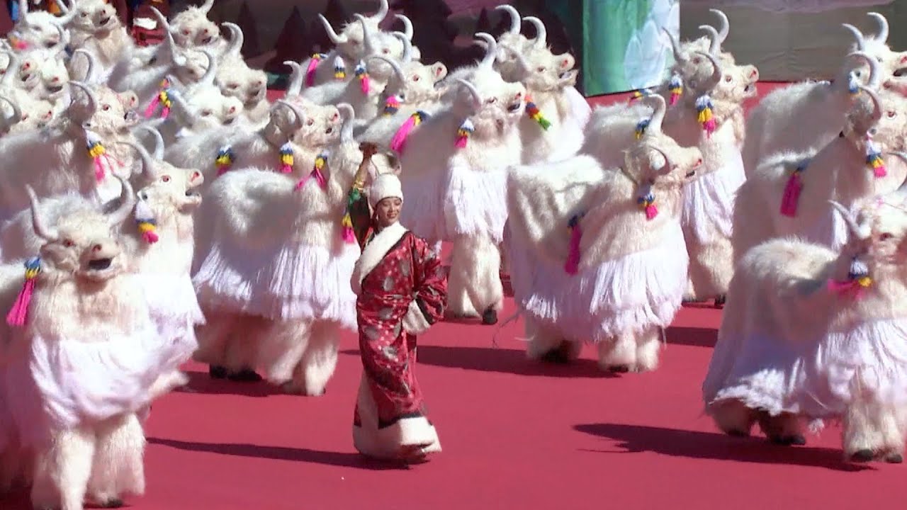 Tibet Autonomous Region celebrates 70th anniversary of democratic reform