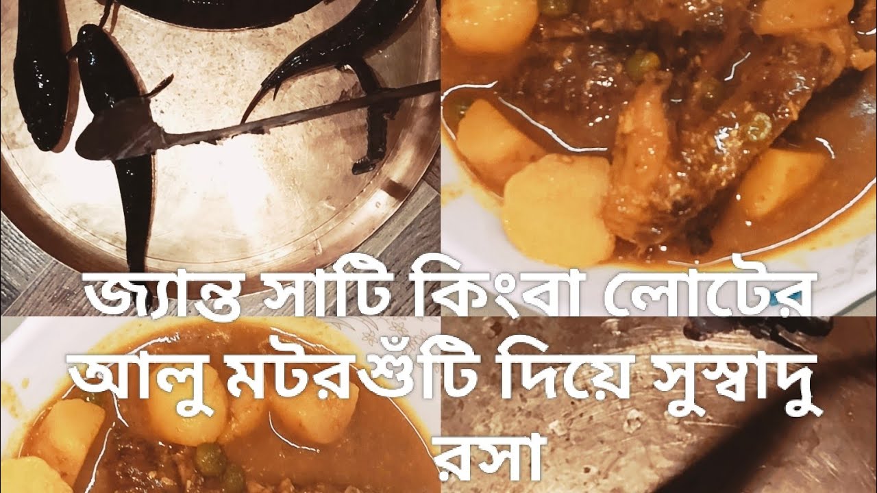 জ্যান্ত সাটি কিংবা লোটের সুস্বাদু রসা। একবার খেলে বারবার খেতে চাইবেন #food #cooking #fish recipe 