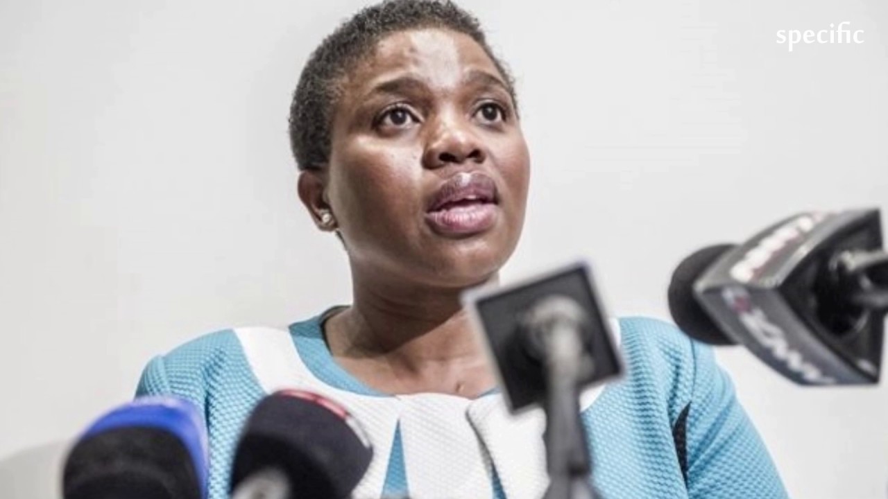Fraud charges against Jiba won&rsquo;t be reinstated, says NPA |  South Africa news today