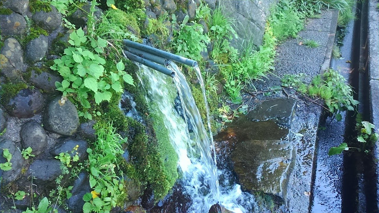 名水須坂仁礼柳清水　長野県須坂市　全国出張の旅