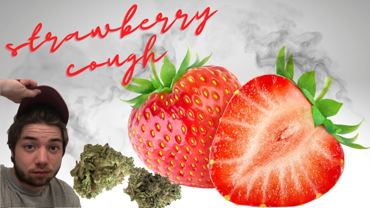 STRAWBERRY COUGH ! CLASSIC STRAIN ! OLD SCHOOL SATIVA ! FEEL GOOD VIBES !