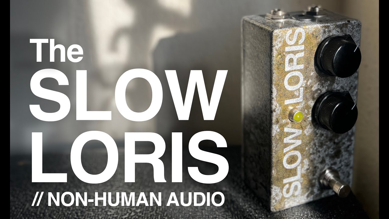 Slow Loris Demo // Non-Human Audio