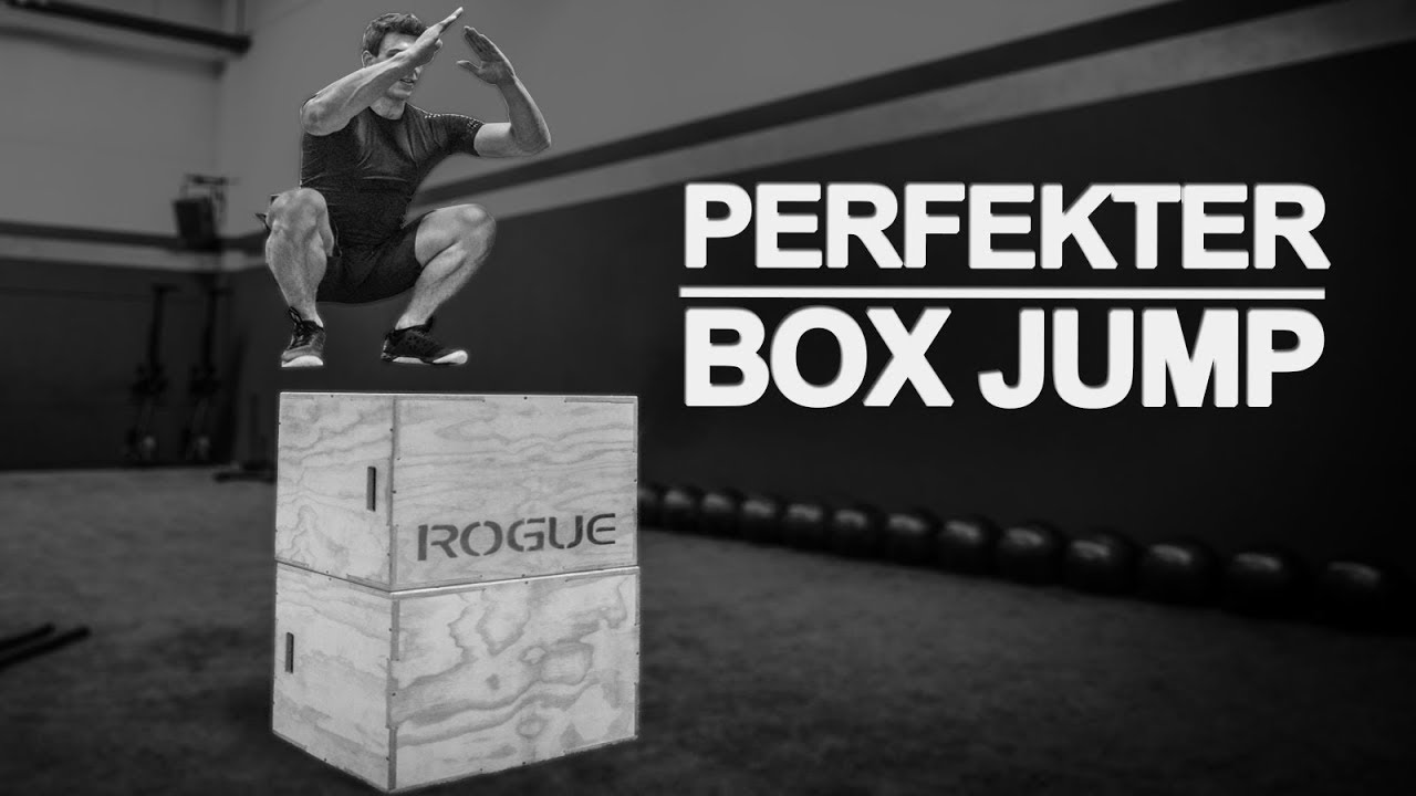 Perfekter BOX JUMP - Richtige Ausführung und Workout