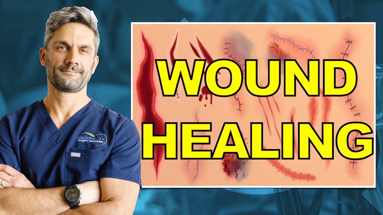 Understand the Phases of Wound Healing