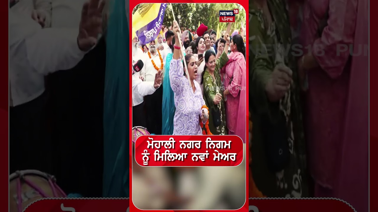 ਮੋਹਾਲੀ ਨਗਰ ਨਿਗਮ ਨੂੰ ਮਿਲਿਆ ਨਵਾਂ ਮੇਅਰ #shorts |N18S