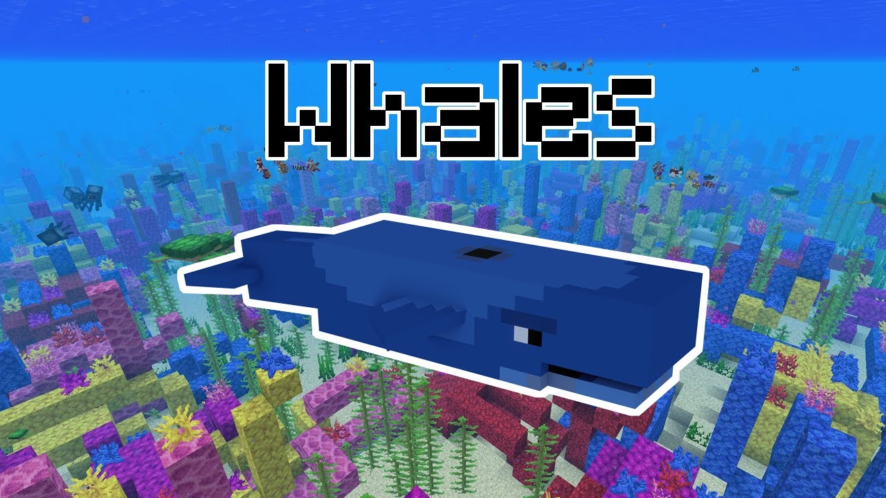 I made WHALES in Minecraft | Datapack