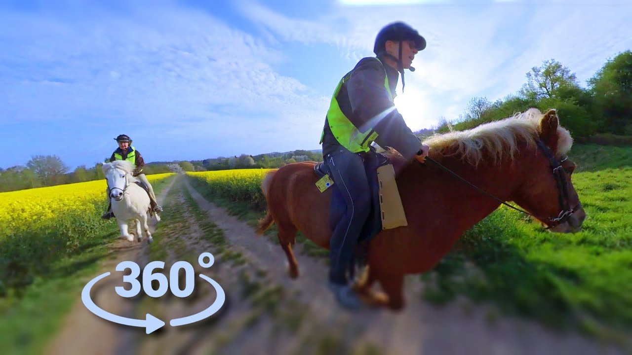 Raps-Galopp - 360 VR Video