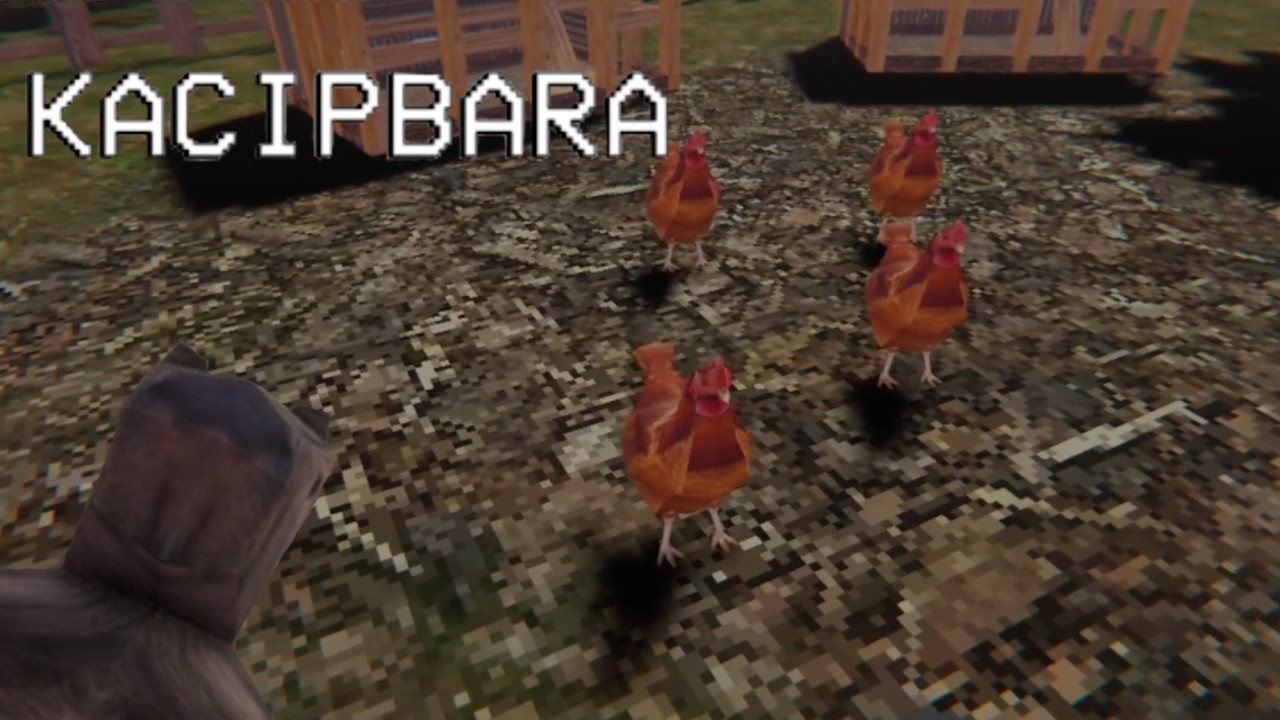 Hay que alimentar gallinas | KACIPBARA