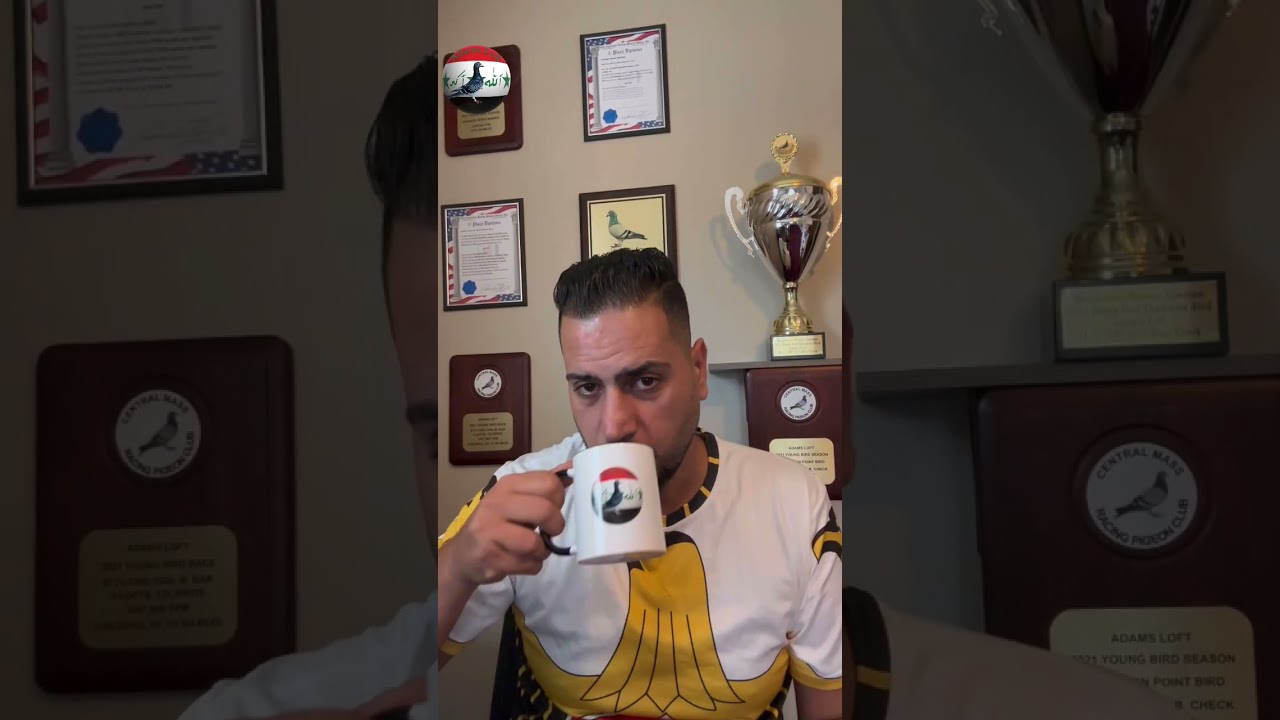 تدريب الحمام الزاجل قبل السباقات او بعد السباقات والاكل قبل السباقات وبعد السباقات تقبلو تحياتي