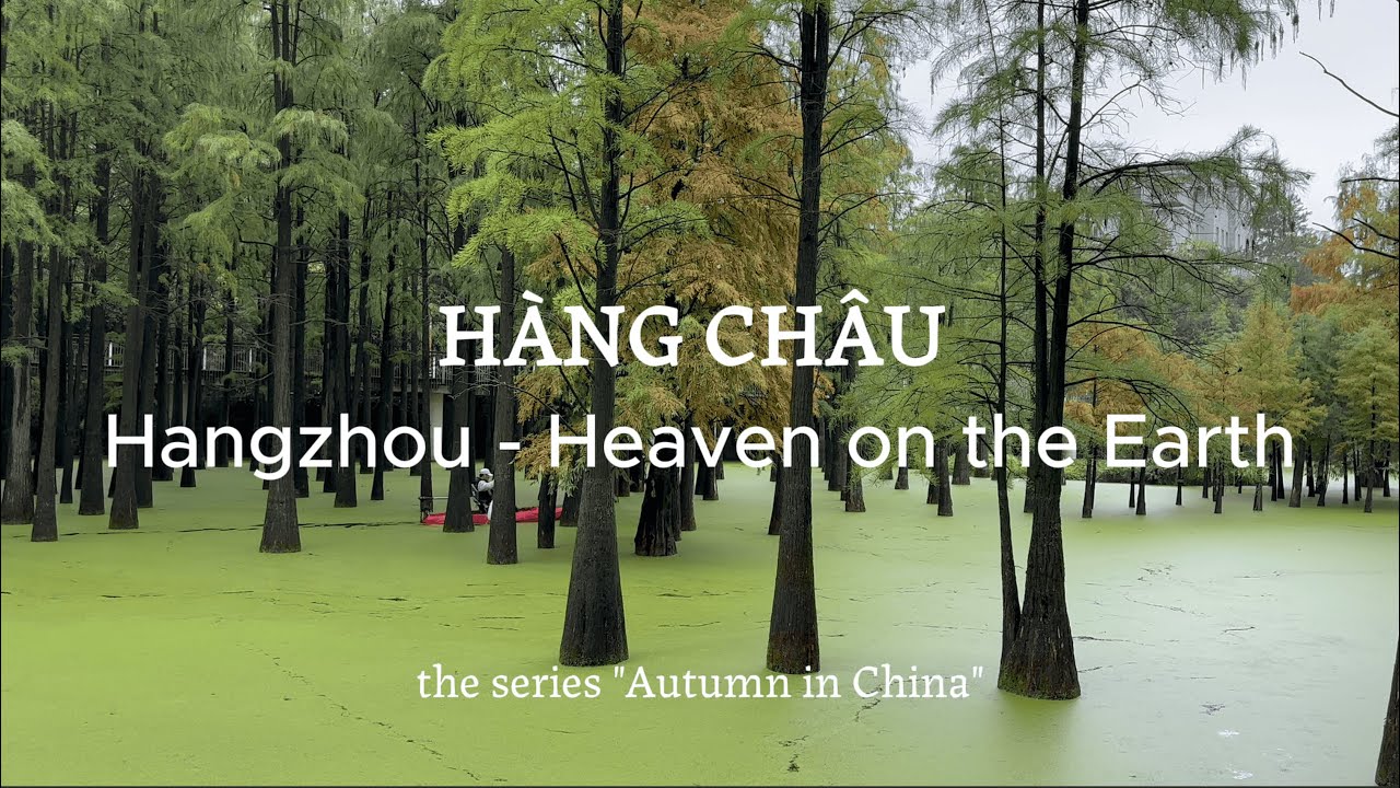 Du lịch tự túc ở Hàng Châu: Khám phá “thiên đàng hạ giới” trong 3 ngày | Mùa thu Trung Quốc (P1)
