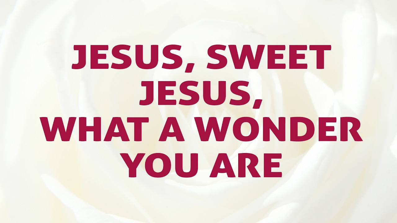 Jesus, Sweet Jesus, What a wonder you are - Divine Hymns - Lyrics Video