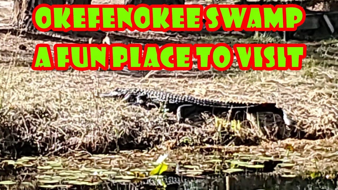 A quick visit to the Okefenokee Swamp in south east Georgia.