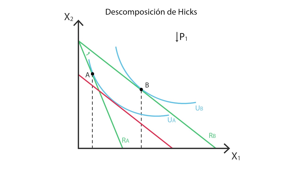 A.9 Efectos de renta y sustitución | Microeconomía - Consumo