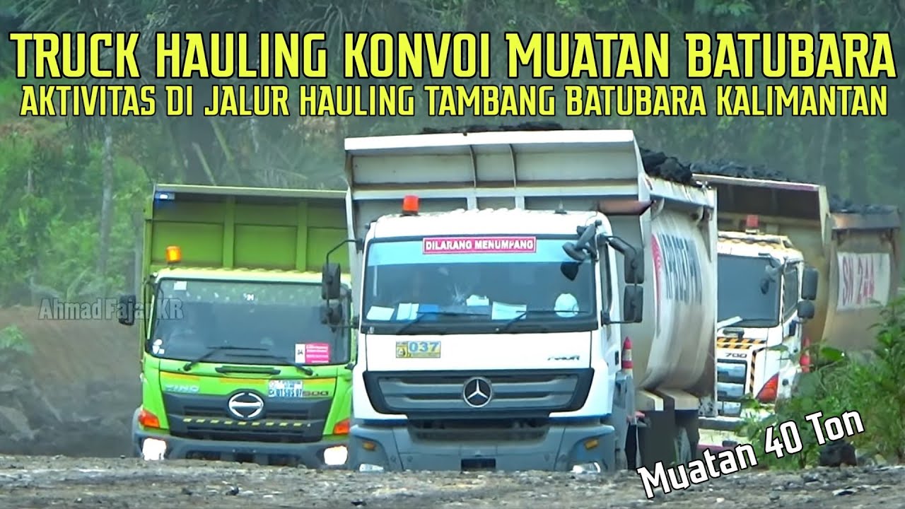 KAMPUNG MERCY Di Kalimantan, Hauling Truck Batubara, Muatan 40 Ton