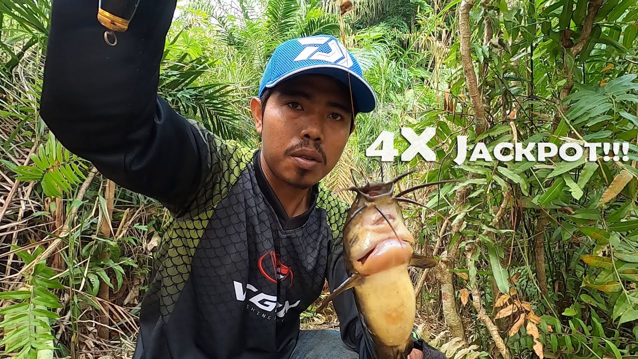 Pemancing liar yang sangat beruntung spot mancing ikan betok rawa #SG-63