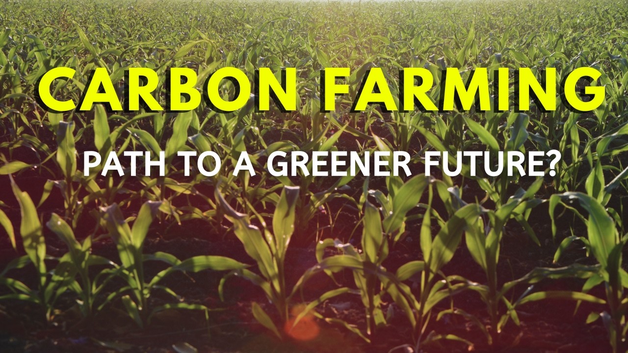 Carbon Farming: Revolutionizing the Way We Grow Food | Terra Tales by Varsha
