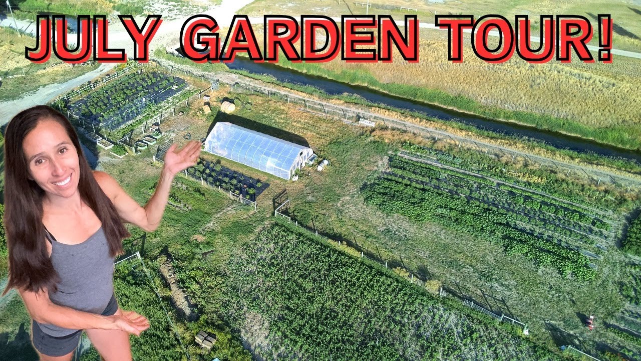 July Garden Tour! Big Improvements & What’s Struggling