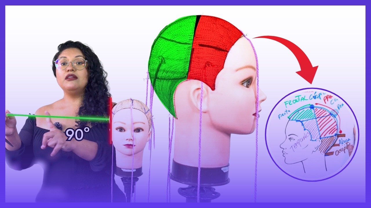 Cuáles son los grados de Corte de cabello | Partes de la cabeza