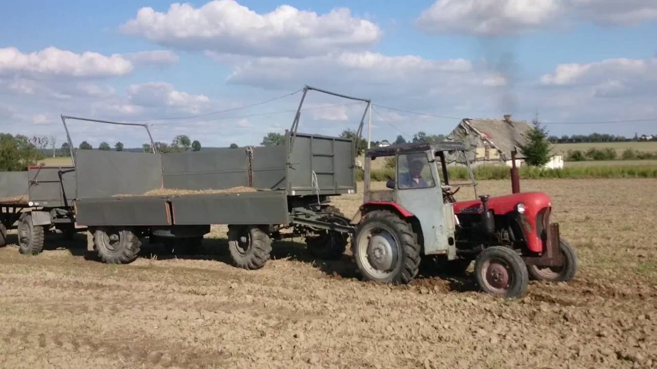 Ursus C-325 + przyczepy HL 8011, Sanok D-50 - ciężka przeprawa po miękkim gruncie