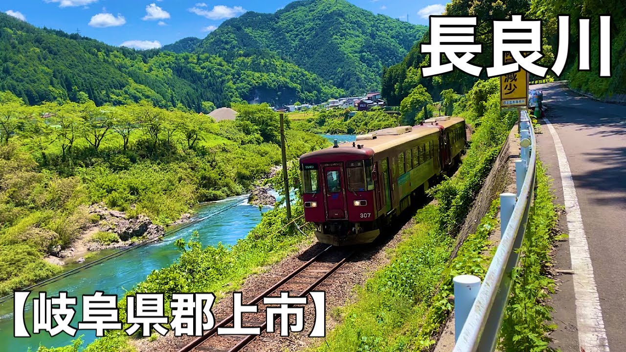 長良川沿川サイクリング【岐阜県美濃市から岐阜県郡上市】