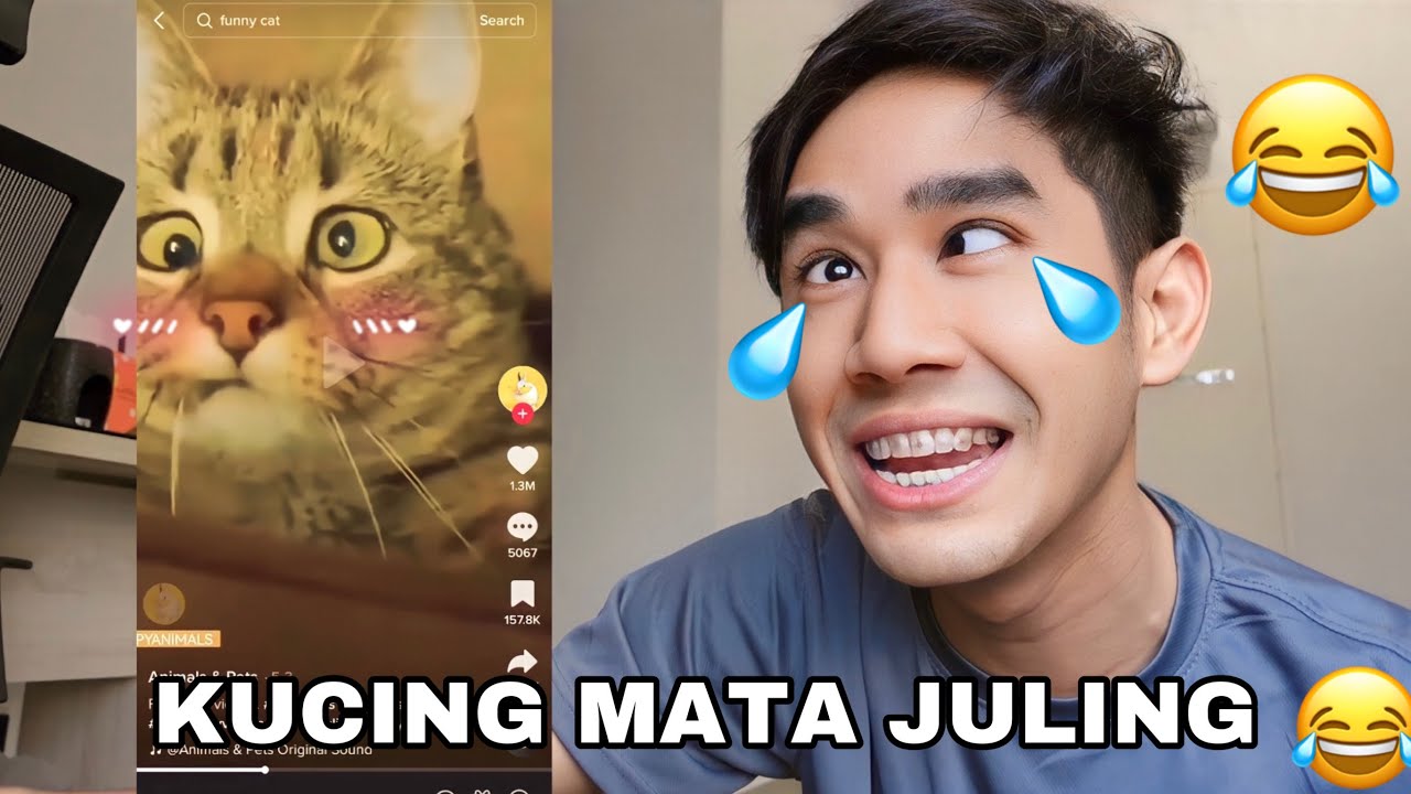 KUCING MATA JULING 😂 REACT KUCING TIKTOK PALING KELAKAR 😻
