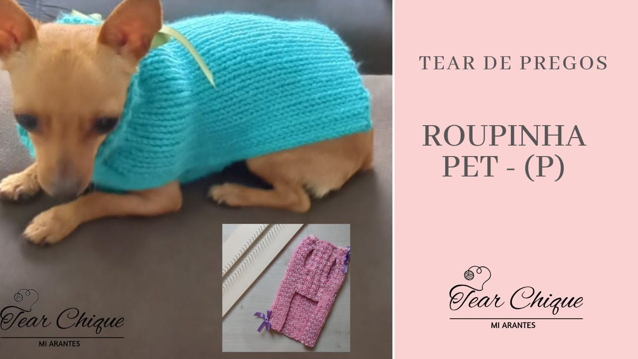 ROUPINHA PET - P - TEAR DE PREGOS