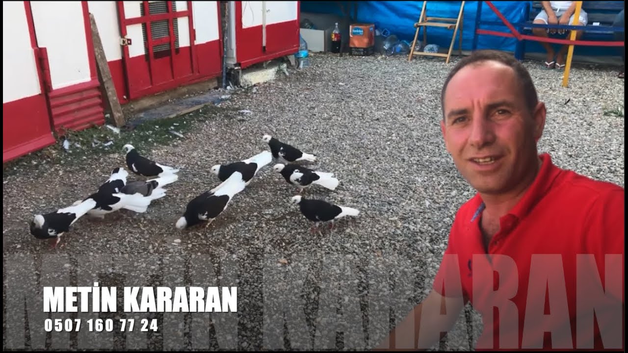 Dönek Güvercin Sohbeti Metin Kararan (Dadaş)