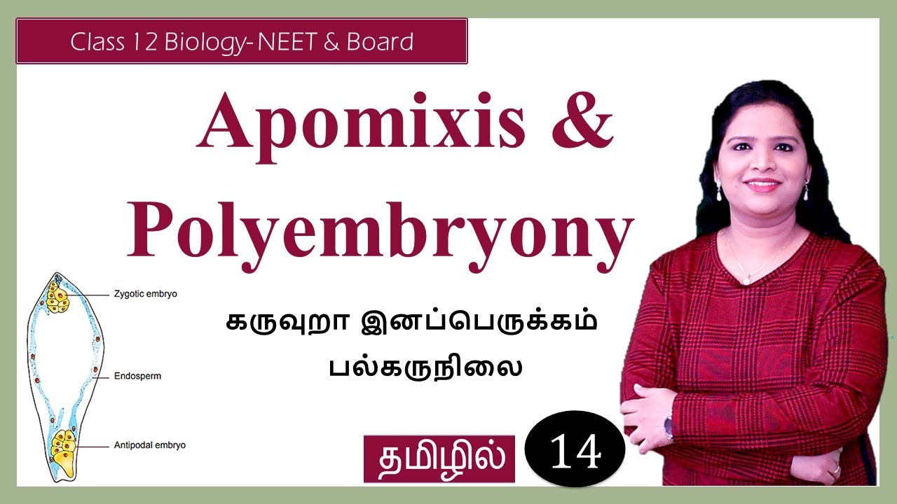 Apomixis and Polyembryony | Tamil