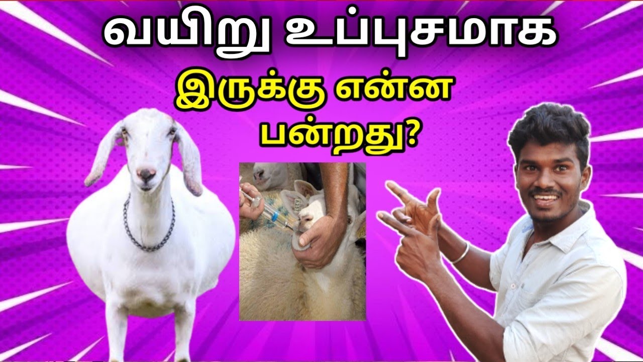 #psfarmers#aduvalarppu#aduvalarputamil #வயிறு உப்புசமாக இருக்கு‌ என்ன செய்ய வேண்டும் இயற்கை மூலிகை,🎉