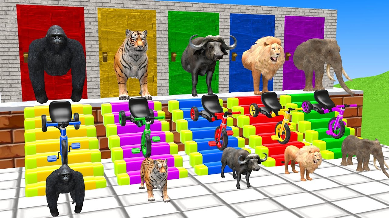 Long Slide Game With Elephant Gorilla Tiger Bufallo Lion 3d Animals Game - Funny 3d Animals