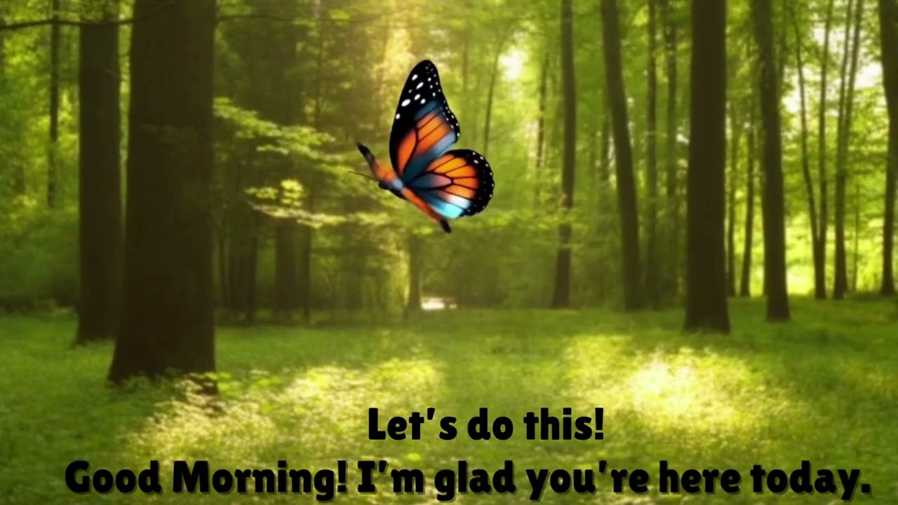 🌿 Good Morning | Silent Forest Butterfly Screen with Positive Affirmations (No Sound)
