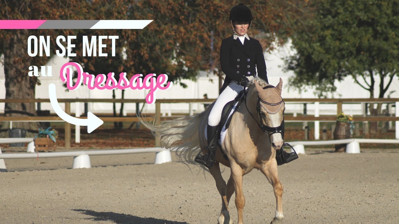 On sort en DRESSAGE ?! 🐴🤔🎩 I Georgette ou Taxi ?