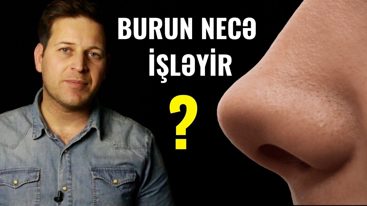 Burun necə işləyir? #necəişləyir