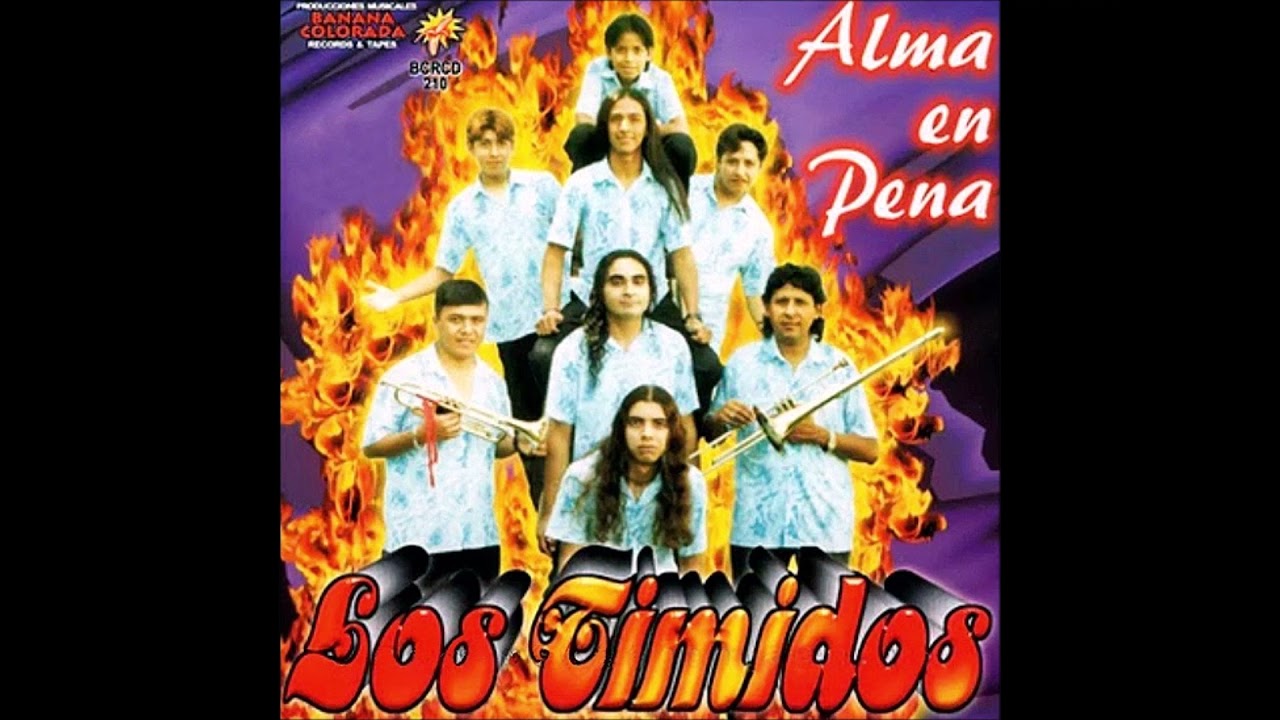 Timidos - Cosas del amor