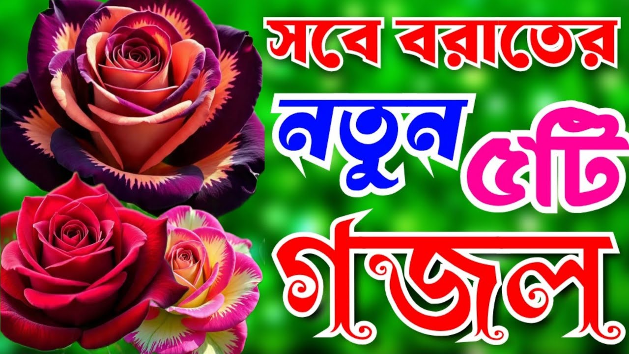 সবে বরাত এর গজল।মন প্রাণ জুড়ানো সেরা মায়াবী কন্ঠে ৫টি গজল। Islamic songs। Sobe Borat elo 2026
