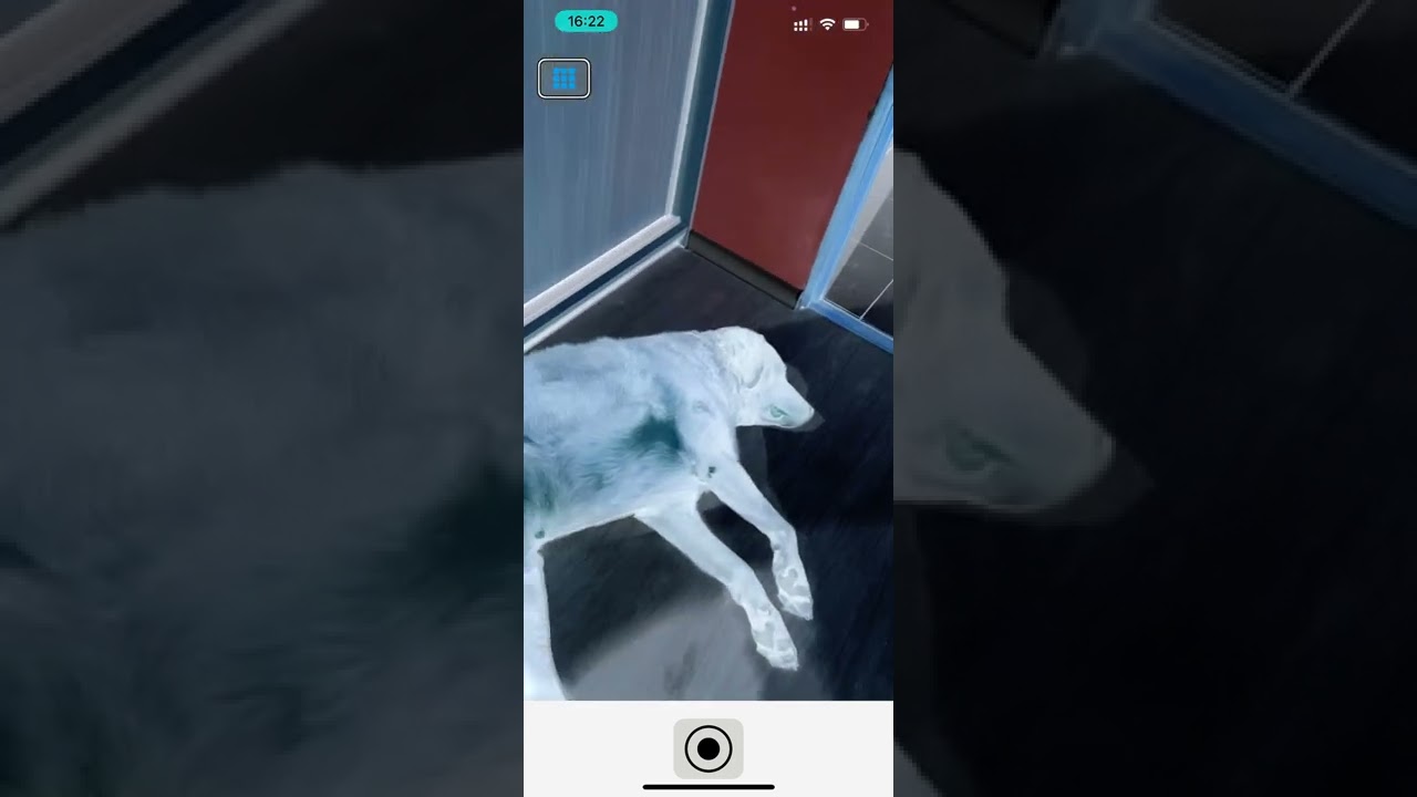 LIDAR na iPhone ⏯ I 5 aplikacji dla osób z dysfunkcją wzroku