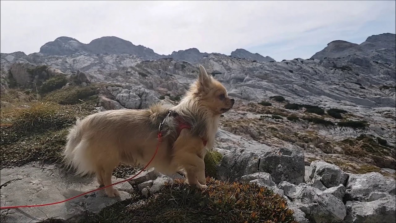 Septemberwanderung zum Ingolstädter Haus