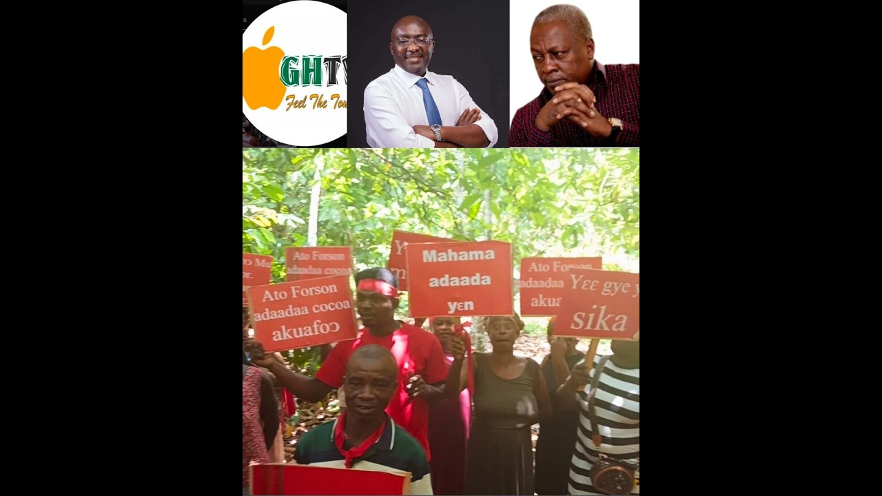 Maintain GHS 31K Cocoa Price BAWUMIA / NANA ADDO LEFT – Asante Akyem North Farmers Appeal 2 Mahama