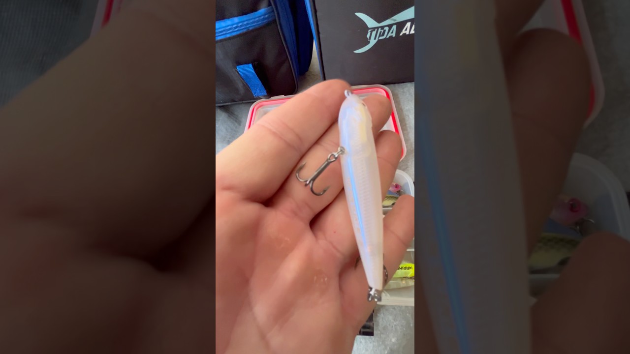 FA&Ccedil;A ISSO SEMPRE QUE COMPRAR UMA ISCA COM GARAT&Eacute;IAS FRACAS !