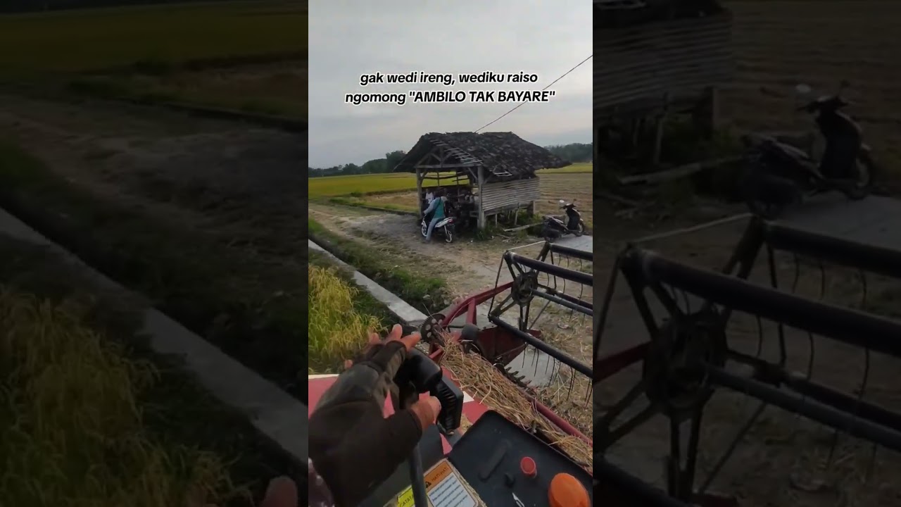 #combineharvester #maxxibimo