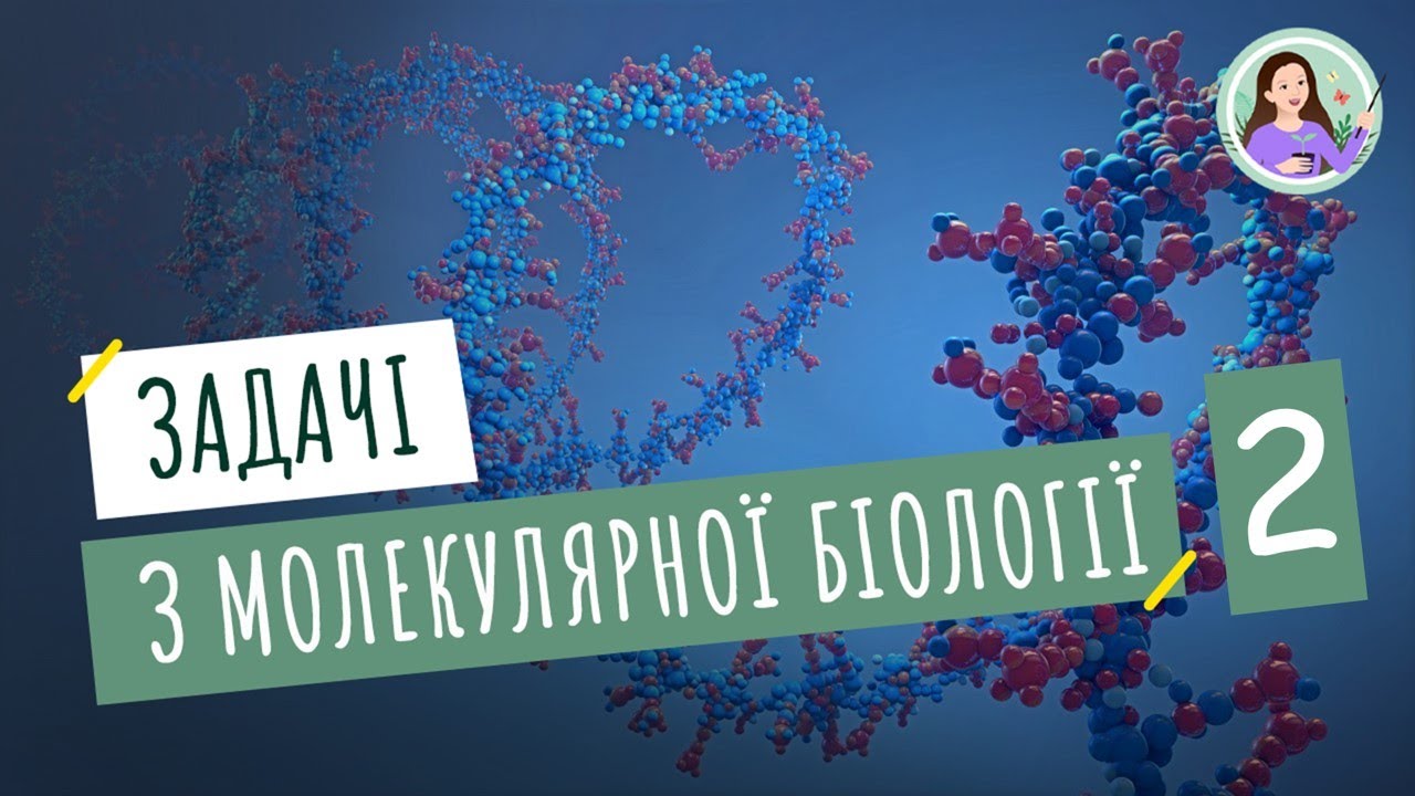 Розв'язання елементарних вправ з реплікації, транскрипції та трансляції