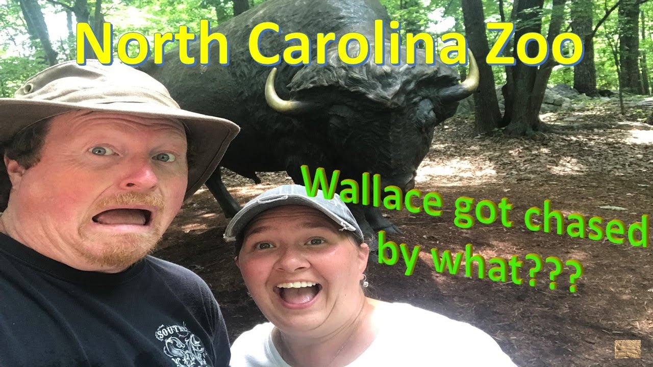 North Carolina Zoo Review 2022 - Wallace got chased by WHAT??? - Asheboro, NC