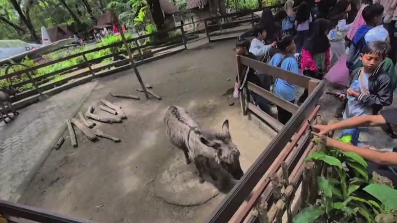 Outing Class SD Bango Goes To Jogja🚍🚍